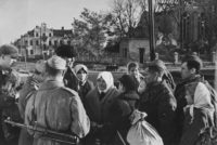 фотография со знаком противотанковой артиллерии РККА